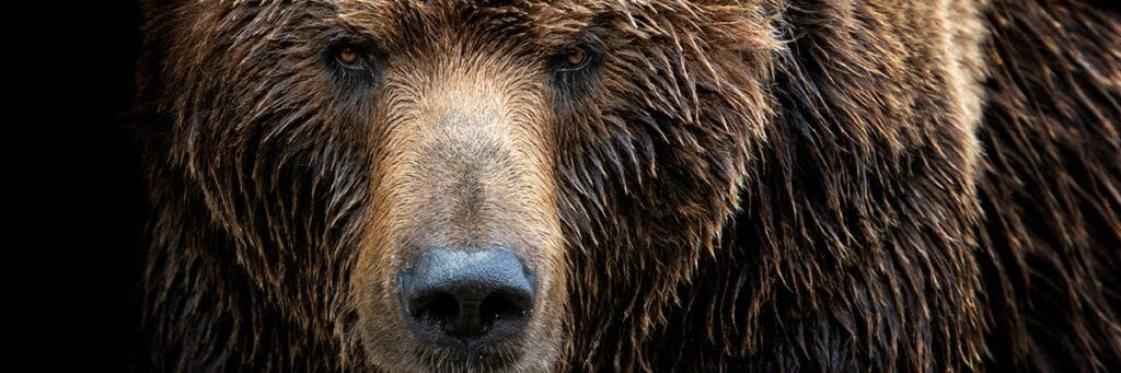 NCSC exposes Fancy Bear’s Authentic Antics malware attacks