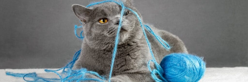 Paw Patrol: How AI and IoT are driving preventative pet care