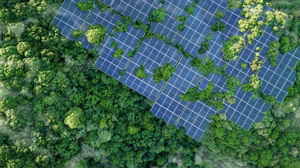 Solar Panels Are Actually Saving Lives – Here’s How